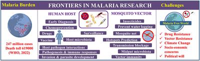 Editorial: Frontiers in malaria research